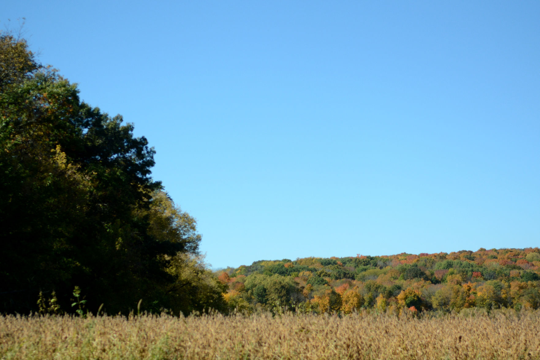 Baraboo area fall color, Oct. 8, 2020